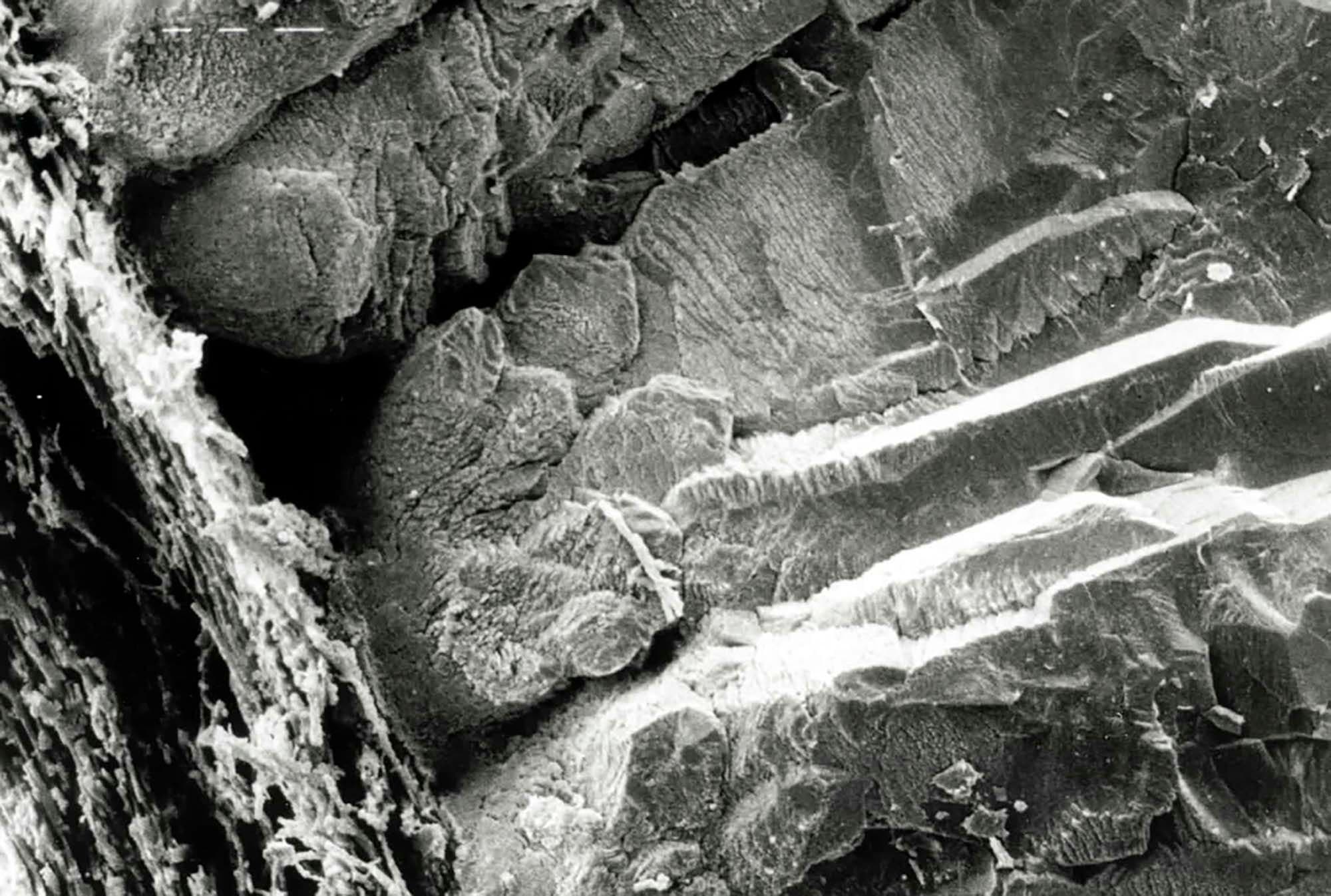 Natural Surfaces
